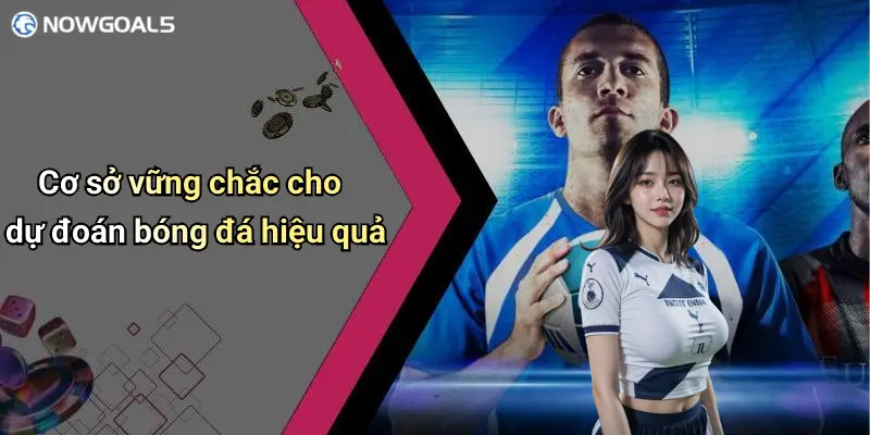 Cơ sở vững chắc cho dự đoán bóng đá hiệu quả
