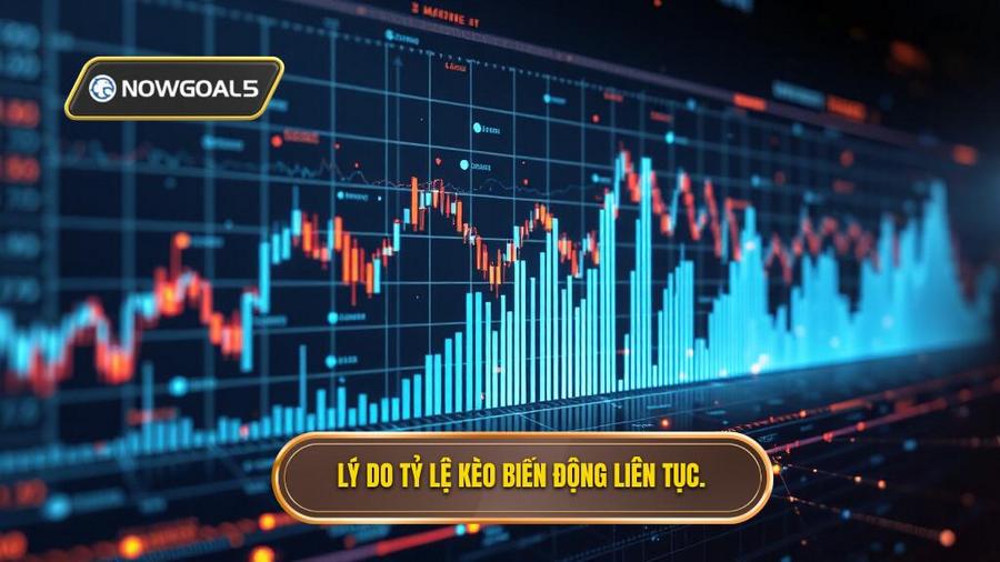 3. Lý do tỷ lệ kèo biến động liên tục.