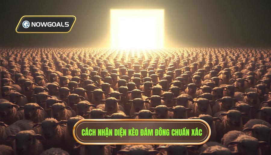 Cách nhận diện kèo đám đông đang đổ xô vào